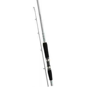 Спиннинг Shimano SPEEDMASTER AX POWER GAME (SSMAX30PGXH)