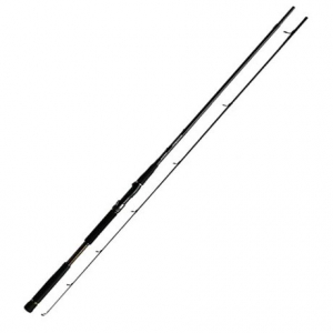 Спиннинг Daiwa Morethan Branzino AGS 130M