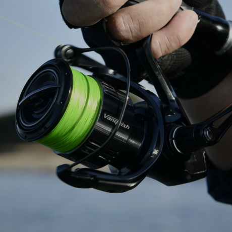 81.jpg