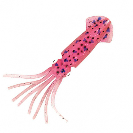squirds.jpg