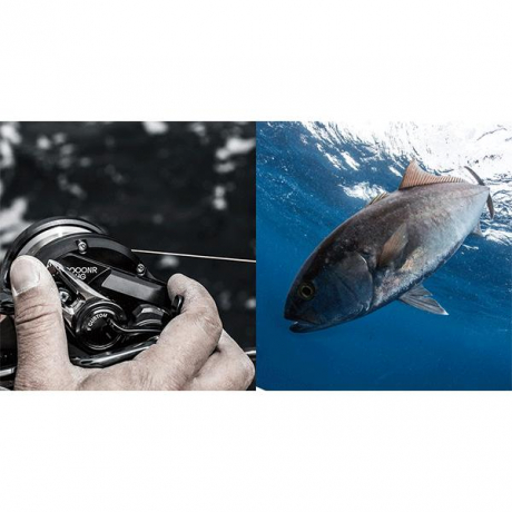 кустом-новый-1.gif