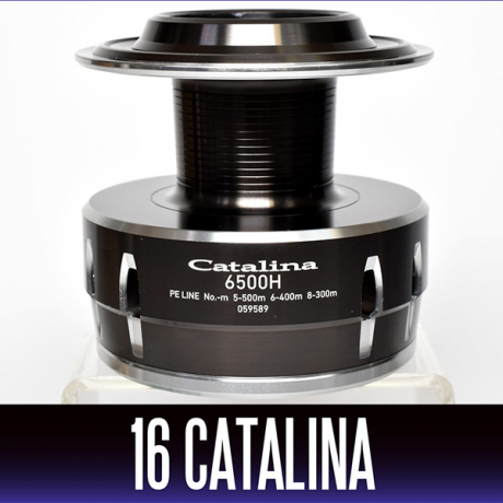 2catalina.jpg