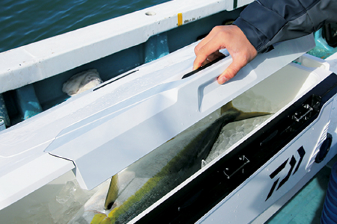 TRUNKMASTER_2847_1.jpg